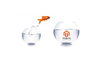 Migrazione ecommerce magento